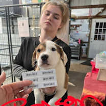 Thumbnail photo of JW Benson #2