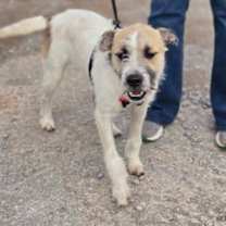 Thumbnail photo of Jack Jack * #2