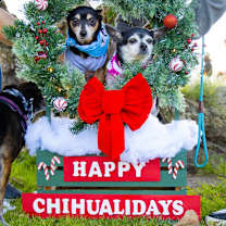 Thumbnail photo of Zachary #3