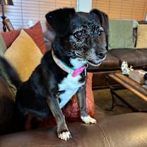 Thumbnail photo of Wrenna #3