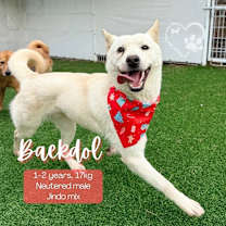 Thumbnail photo of Baekdol #3