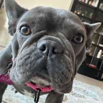 Thumbnail photo of Pearl #4