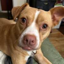 Thumbnail photo of Bianca #1