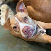 Thumbnail photo of Bianca #2