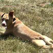 Thumbnail photo of Bianca #4