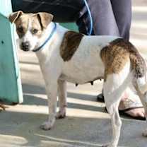 Thumbnail photo of Della #3