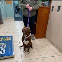 Thumbnail photo of Katniss #3