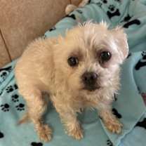 Thumbnail photo of Emma #2