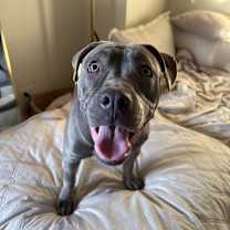 Thumbnail photo of Silvie #3