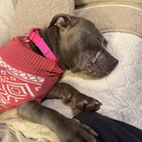 Thumbnail photo of Silvie #4