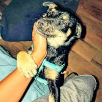 Thumbnail photo of Sissy #1