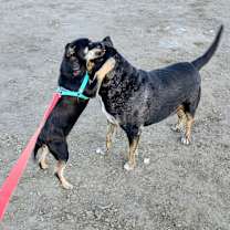 Thumbnail photo of Sissy #4