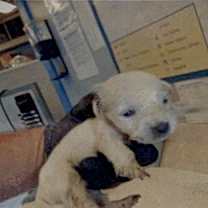 Thumbnail photo of Ed #3