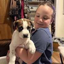 Thumbnail photo of Alfalfa #4