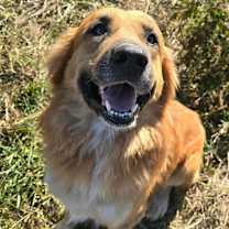 Thumbnail photo of Peaches #1