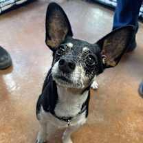 Thumbnail photo of Esther #1