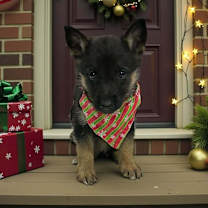 Thumbnail photo of Doc #1