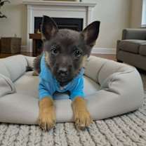 Thumbnail photo of Doc #4