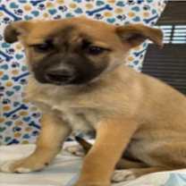 Thumbnail photo of Ally #3