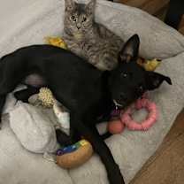 Thumbnail photo of Holiday #2