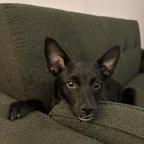 Thumbnail photo of Holiday #3