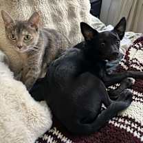 Thumbnail photo of Holiday #4