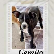 Thumbnail photo of Camilo (Cam) #4