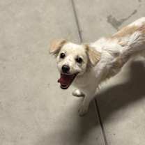 Thumbnail photo of Coco #3