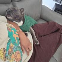 Thumbnail photo of Bleu #3