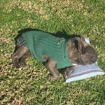 Thumbnail photo of Bleu #4