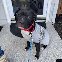 Thumbnail photo of O'Shae #1