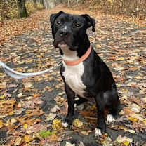 Thumbnail photo of O'Shae #2