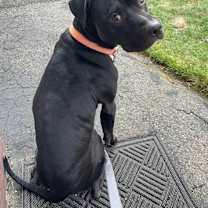 Thumbnail photo of O'Shae #3