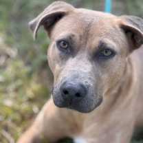 Thumbnail photo of Bob #1