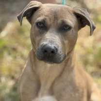 Thumbnail photo of Bob #3