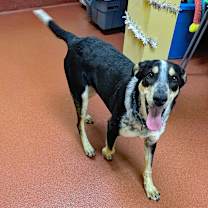 Thumbnail photo of Crouton #2