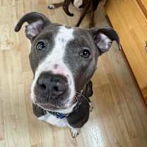 Thumbnail photo of Meadow #1