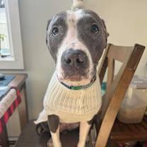 Thumbnail photo of Meadow #2