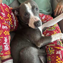 Thumbnail photo of Meadow #3