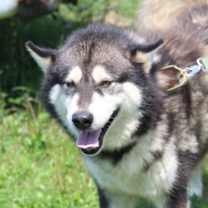 Thumbnail photo of Tiny #1