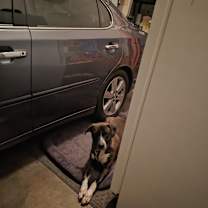 Thumbnail photo of Lil Guy #2