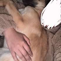 Thumbnail photo of Terry #4