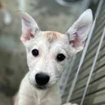 Thumbnail photo of Nairobi #2