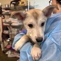 Thumbnail photo of Nairobi #3