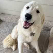 Thumbnail photo of Marla SAT #1