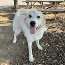 Thumbnail photo of Marla SAT #2