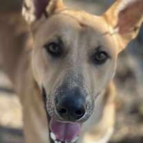 Thumbnail photo of Nate #1