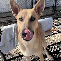 Thumbnail photo of Nate #2