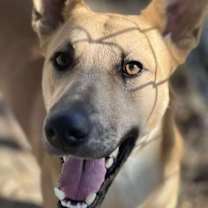 Thumbnail photo of Nate #3