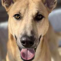 Thumbnail photo of Nate #4